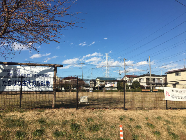 たちばな古代の丘緑地